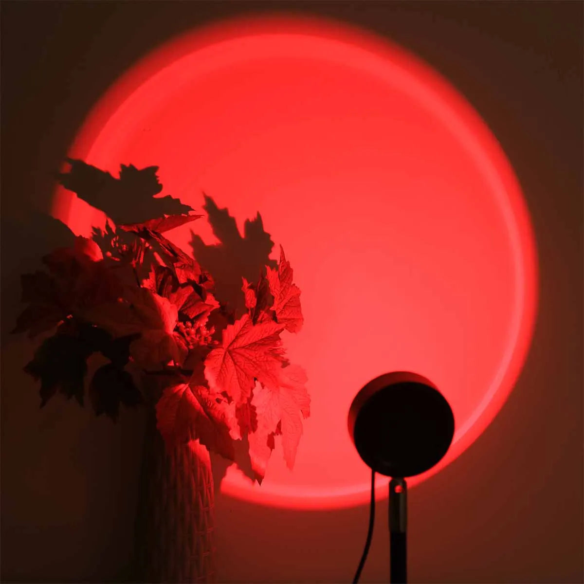 Sunset projection 16 color ambient night light